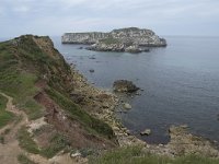 E, Cantabria, Miengo, Punta del Cuerno 3, Saxifraga-Willem van Kruijsbergen