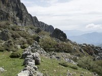 E, Cantabria, Vega de Liebana, Puerto de San Glorio 11, Saxifraga-Willem van Kruijsbergen