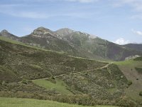 E, Cantabria, Vega de Liebana, Puerto de San Glorio 20, Saxifraga-Willem van Kruijsbergen