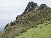 E, Cantabria, Vega de Liebana, Puerto de San Glorio 23, Saxifraga-Willem van Kruijsbergen