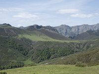 E, Cantabria, Vega de Liebana, Puerto de San Glorio 4, Saxifraga-Willem van Kruijsbergen