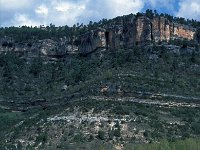 E, Cuenca, Una, Laguna de Una 3, Saxifraga-Jan van der Straaten