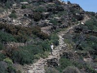 E, Girona, Cadaques, Cap de Creus 15, Saxifraga-Jan van der Straaten