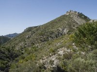 E, Granada, Jete, Meson Prados de Lopera 19, Saxifraga-Willem van Kruijsbergen