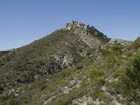 E, Granada, Jete, Meson Prados de Lopera 20, Saxifraga-Willem van Kruijsbergen