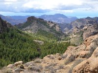 E, Las Palmas, Tejeda, near Roque Nublo 7, Saxifraga-Tom Heijnen