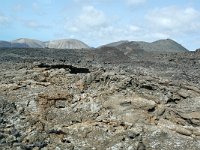 E, Las Palmas, Yaiza, Parque Nacional de Timanfaya 1, Saxifraga-Tom Heijnen