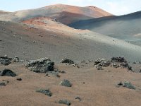 E, Las Palmas, Yaiza, Parque Nacional de Timanfaya 4, Saxifraga-Tom Heijnen