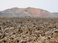 E, Las Palmas, Yaiza, near Yaiza village 3, Saxifraga-Tom Heijnen