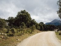 E, Malaga, El Burgo, Sierra de las Nieves 8, Saxifraga-Jan van der Straaten