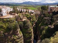 E, Malaga, Ronda 17, Saxifraga-Hans Dekker