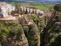 E, Malaga, Ronda 18, Saxifraga-Hans Dekker