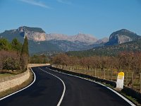 E, Mallorca, Alaro, Castel d Alaro 1, Saxifraga-Hans Dekker