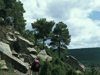 E, Teruel, Mora de Rubielos 14, Saxifraga-Jan van der Straaten