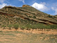 E, Teruel, Villel 1, Saxifraga-Jan van der Straaten