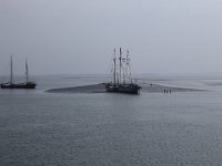 NL, Friesland, Vlieland, Wad 2, Saxifraga-Hans Boll