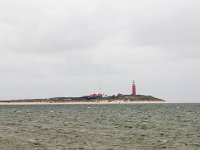 NL, Noord-Holland, Texel 43, Saxifraga-Bart Vastenhouw