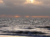 NL, Noord-Holland, Zandvoort, Noordzee 1, Saxifraga-Tom Heijnen