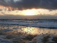 NL, Noord-Holland, Zandvoort, Noordzee 2, Saxifraga-Tom Heijnen