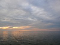 NL, Noordzee 2, Saxifraga-Bart Vastenhouw