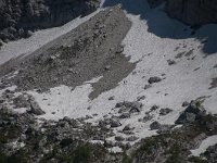 SLO, Gorenjska, Kranjska Gora 11, Saxifraga-Luuk Vermeer