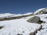 E, Avila, San Juan de Gredos, Senda de la Laguna Grande 21, Saxifraga-Willem van Kruijsbergen