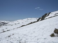 E, Avila, San Juan de Gredos, Senda de la Laguna Grande 41, Saxifraga-Willem van Kruijsbergen