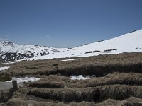 E, Avila, San Juan de Gredos, Senda de la Laguna Grande 43, Saxifraga-Willem van Kruijsbergen