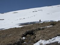 E, Avila, San Juan de Gredos, Senda de la Laguna Grande 47, Saxifraga-Willem van Kruijsbergen