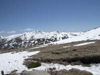 E, Avila, San Juan de Gredos, Senda de la Laguna Grande 48, Saxifraga-Willem van Kruijsbergen