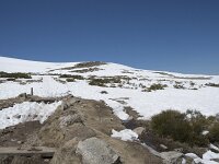 E, Avila, San Juan de Gredos, Senda de la Laguna Grande 52, Saxifraga-Willem van Kruijsbergen