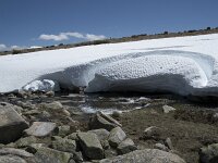 E, Avila, San Juan de Gredos, Senda de la Laguna Grande 59, Saxifraga-Willem van Kruijsbergen