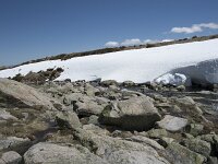 E, Avila, San Juan de Gredos, Senda de la Laguna Grande 60, Saxifraga-Willem van Kruijsbergen