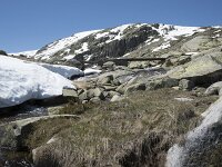 E, Avila, San Juan de Gredos, Senda de la Laguna Grande 62, Saxifraga-Willem van Kruijsbergen