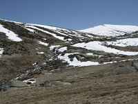 E, Avila, San Juan de Gredos, Senda de la Laguna Grande 72, Saxifraga-Willem van Kruijsbergen