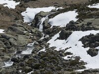 E, Avila, San Juan de Gredos, Senda de la Laguna Grande 73, Saxifraga-Willem van Kruijsbergen