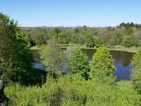 D, Rheinland-Pfalz, Bettenfeld, Windsborn-Kratersee, Saxifraga-Tom Heijnen