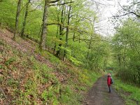 D, Rheinland-Pfalz, Manderscheid, Meerfelder Maar 4, Saxifraga-Tom Heijnen