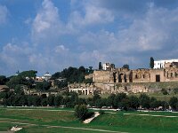 I, Napoli, Pompeiii 10, Saxifraga-Jan van der Straaten