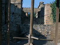 I, Napoli, Pompeiii 29, Saxifraga-Jan van der Straaten