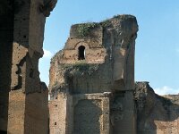 I, Napoli, Pompeiii 8, Saxifraga-Jan van der Straaten