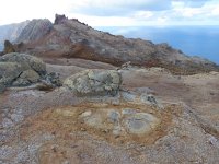 P, Madeira, Concelho Santa Cruz, Islas Deserstas 4, Saxifraga-Mark Zekhuis