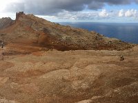 P, Madeira, Concelho Santa Cruz, Islas Deserstas 8, Saxifraga-Mark Zekhuis