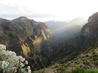 P, Madeira, Santana, Pico do Arieiro 10, Saxifraga-Mark Zekhuis