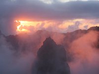 P, Madeira, Santana, Pico do Arieiro 11, Saxifraga-Mark Zekhuis