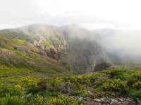 P, Madeira, Santana, Pico do Arieiro 6, Saxifraga-Mark Zekhuis