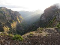 P, Madeira, Santana, Pico do Arieiro 9, Saxifraga-Mark Zekhuis