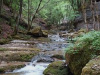 F, Jura, Doucier, Ruisseau Le Herisson 1, Saxifraga-Willem van Kruijsbergen