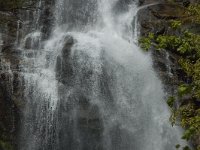 F, Lozere, Fraissinet-de-Lozere, Cascade de Runes 5, Saxifraga-Marijke Verhagen